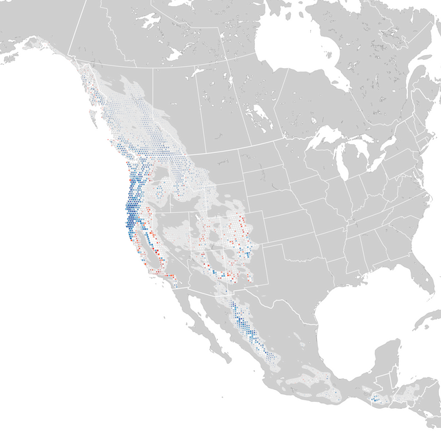 Trends Map