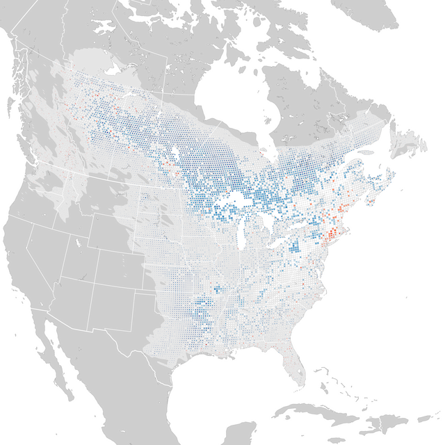 Trends Map