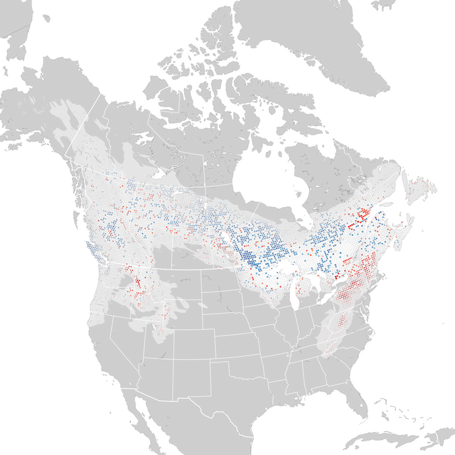 Trends Map