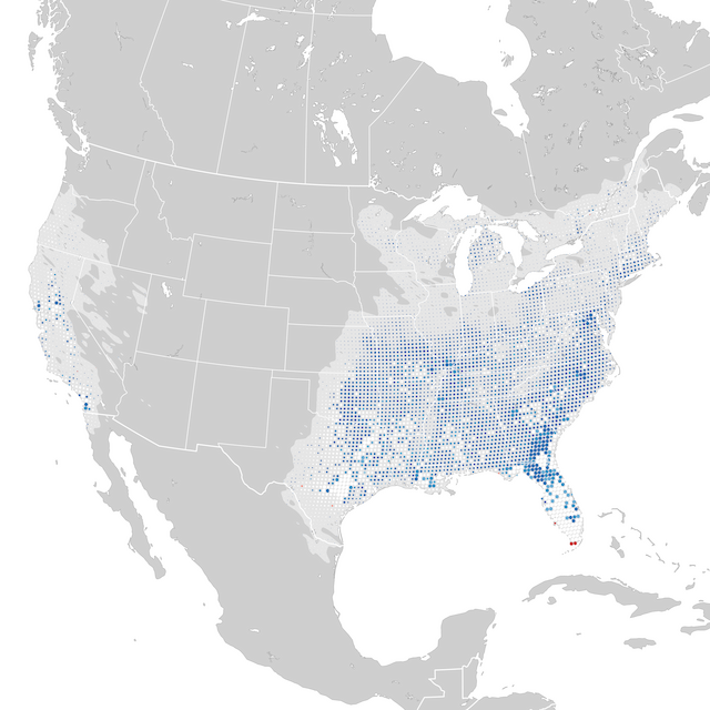 Mapa de tendencias