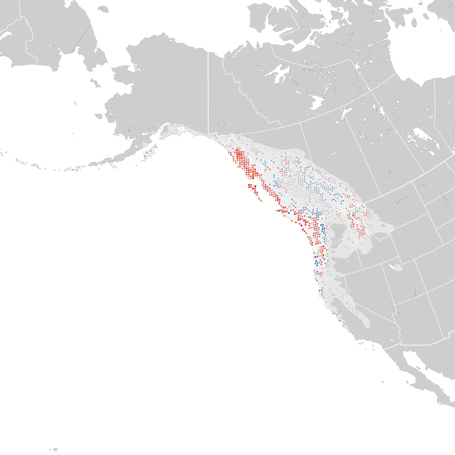 Mapa de Tendências