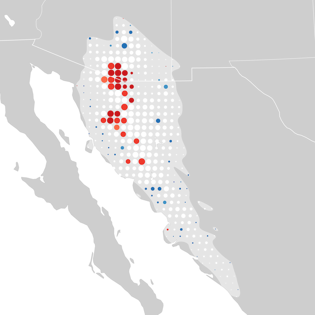 Mapa de tendencias