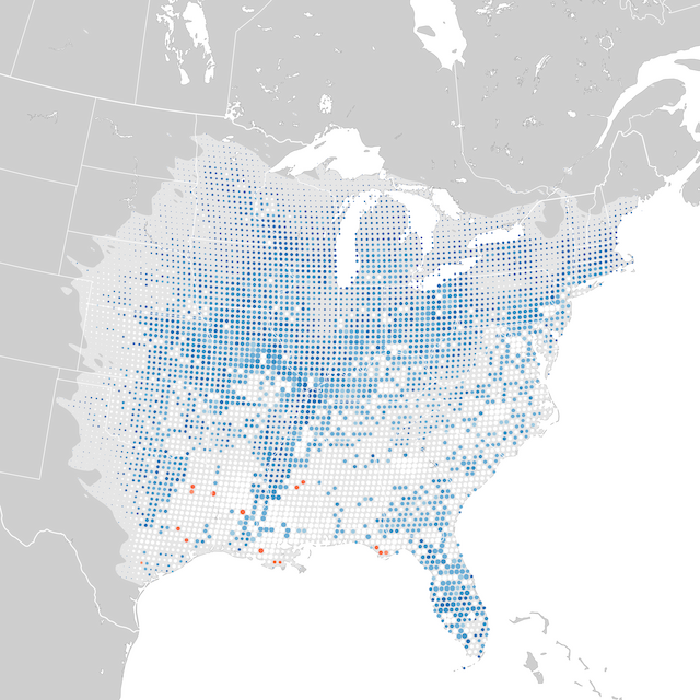 Trends Map