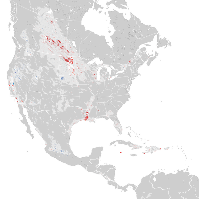 Mapa de tendencias