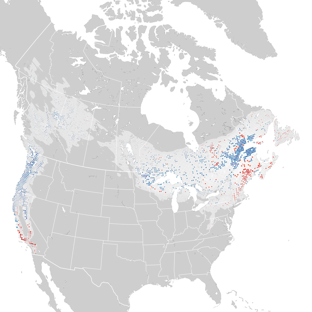 Trends Map