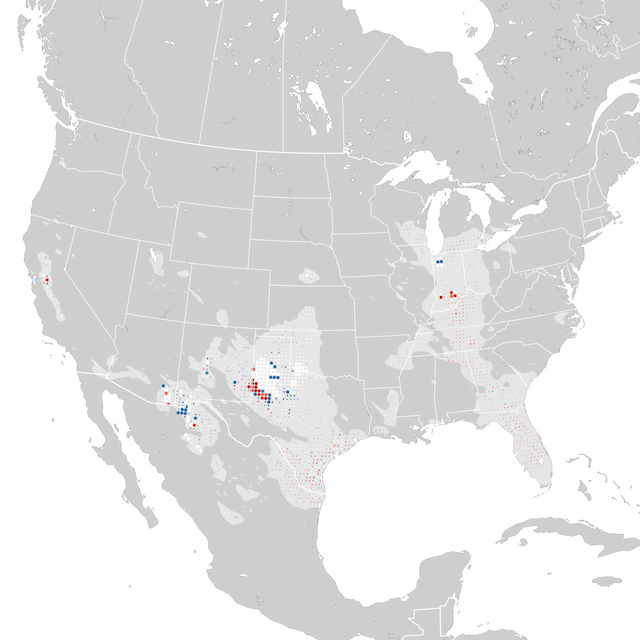 Mappa delle tendenze