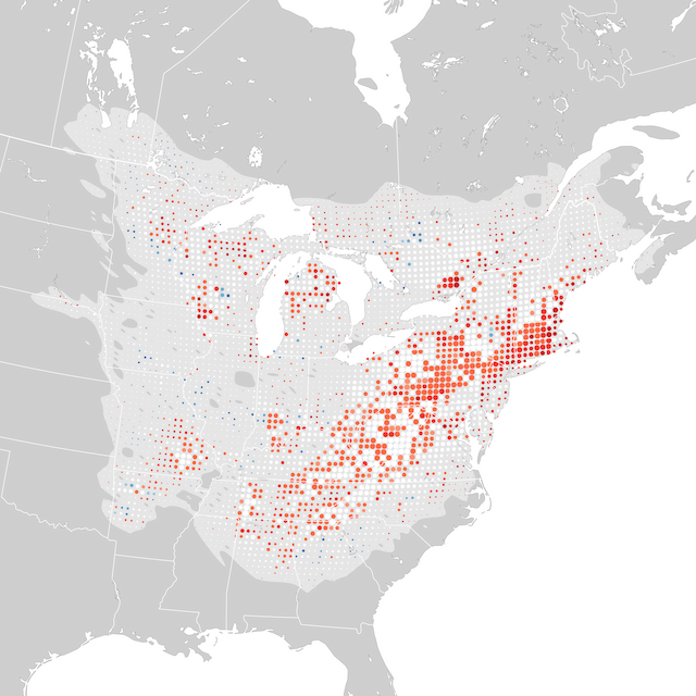 Trends Map