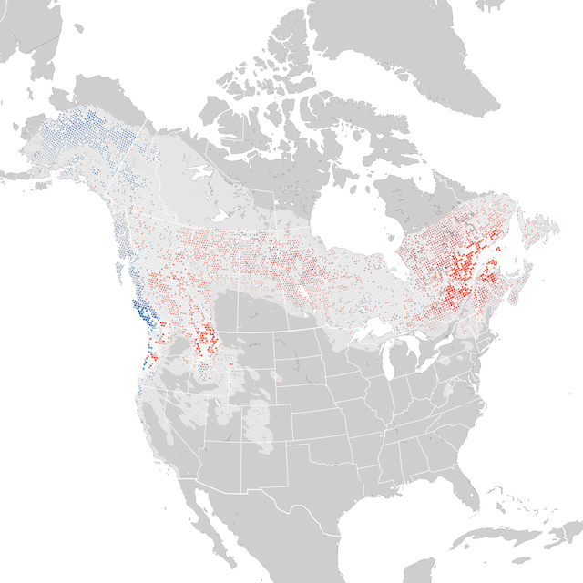 Trends Map