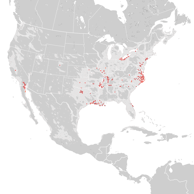 Mapa de Tendências