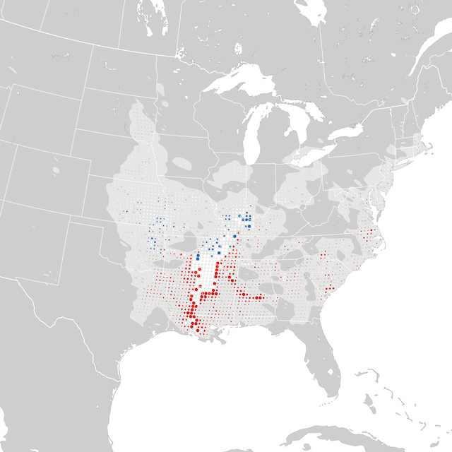 Mapa de Tendências