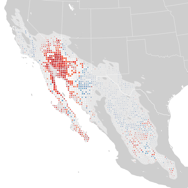 Mapa de tendencias