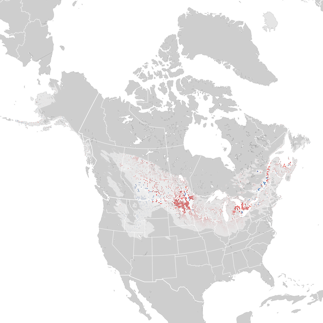 Mapa de tendencias