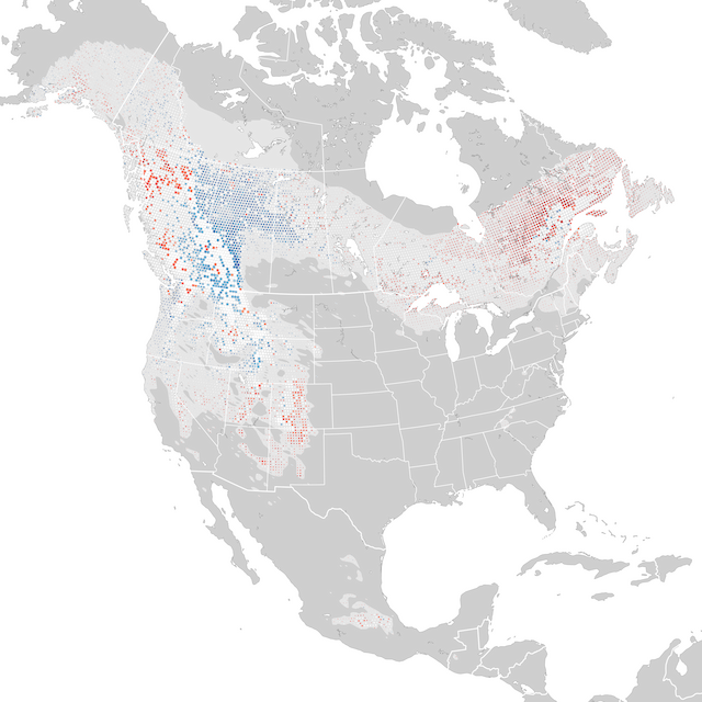 Mappa delle tendenze