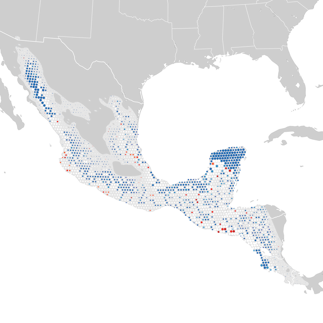 Mappa delle tendenze