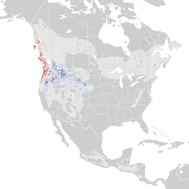 Trends Map