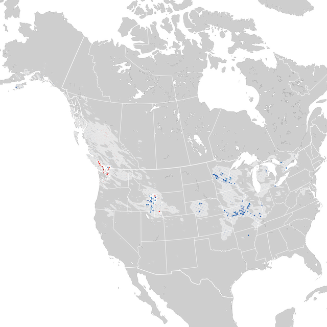 Mapa de tendencias