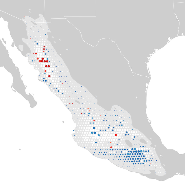 Mapa de tendencias