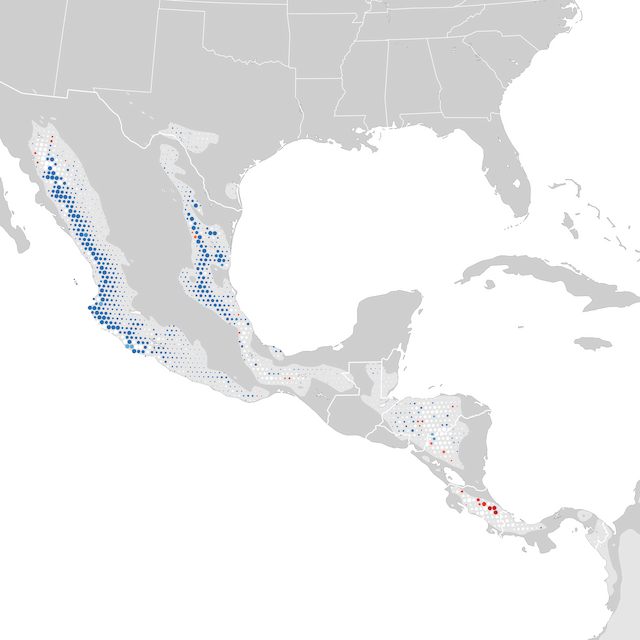 Mapa de tendencias