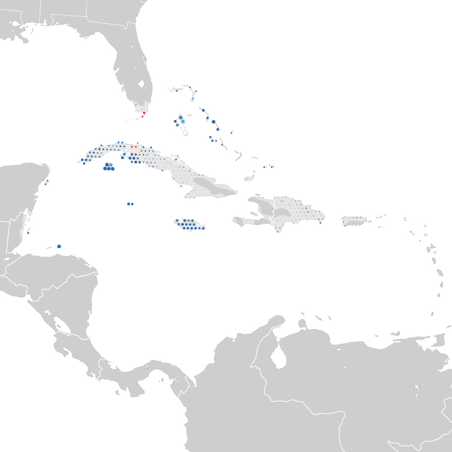 Mapa de Tendências