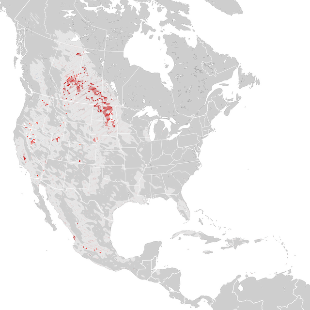 Mapa de Tendências