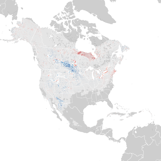 Mapa de Tendências