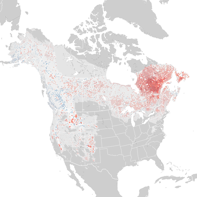 Trends Map