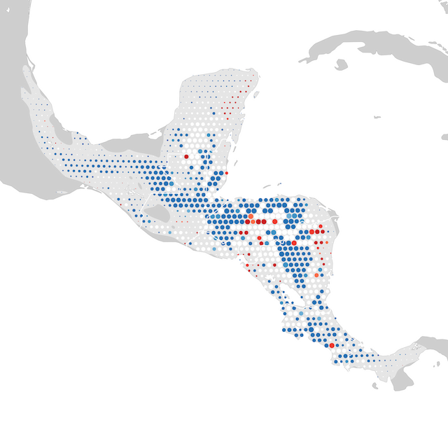 Mapa de tendencias