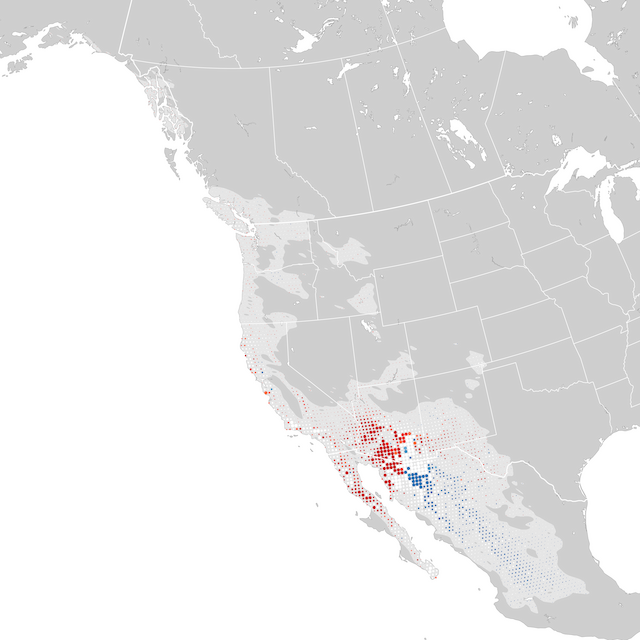 Mapa de tendencias