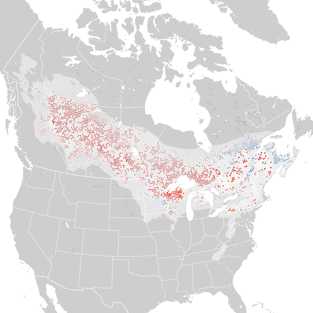 Trends Map