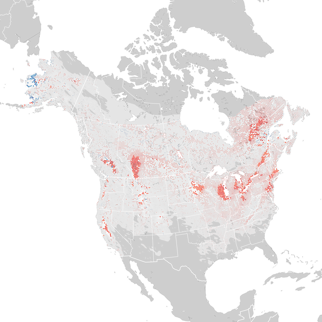 Mapa de tendencias