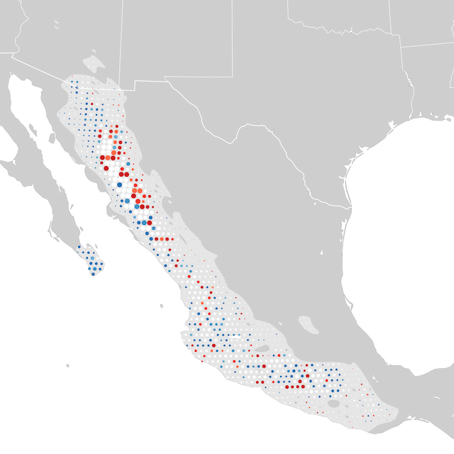 Mapa de Tendências