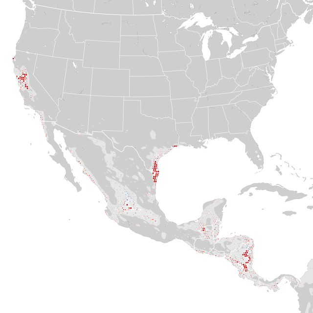 Mappa delle tendenze