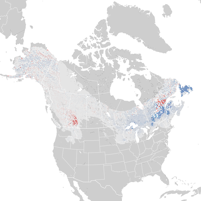 Mappa delle tendenze