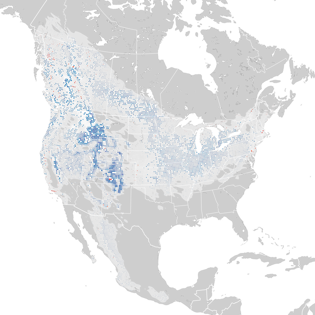 Trends Map