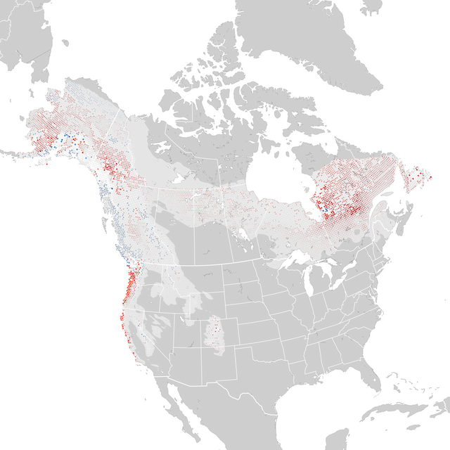 Trends Map