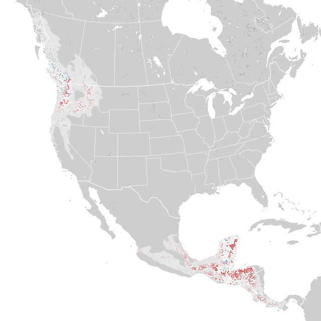 Mapa de Tendências