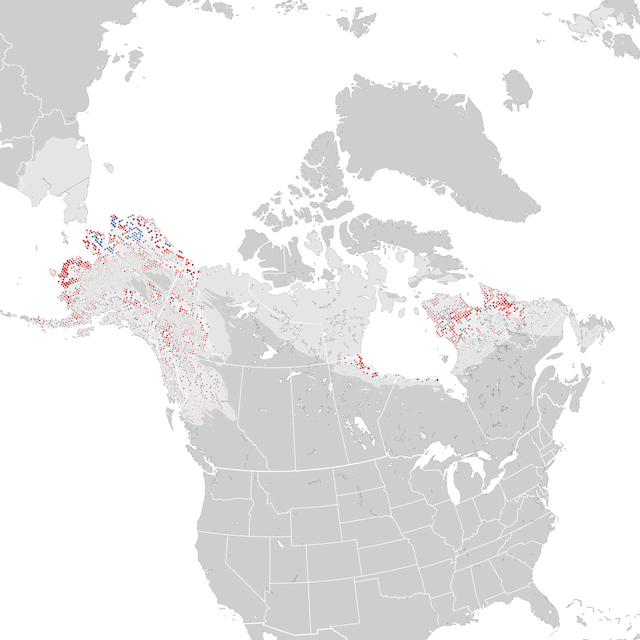 Mapa de Tendências