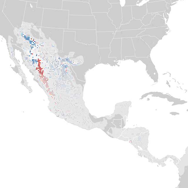 Mapa de Tendências