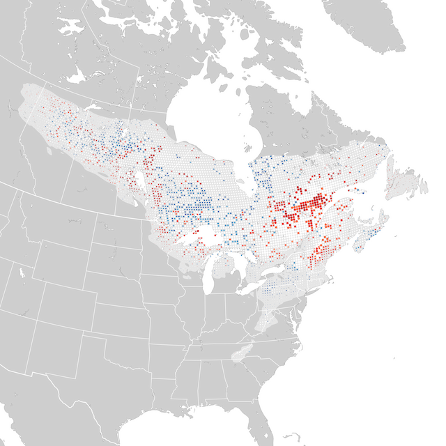 Trends Map