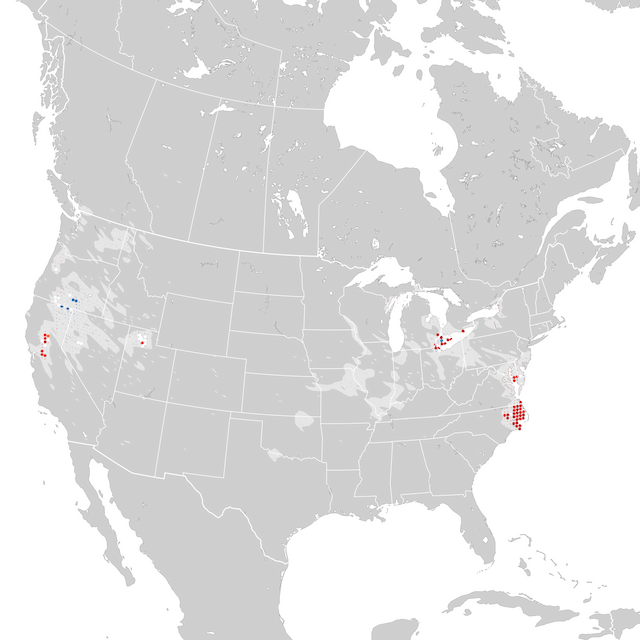 Mappa delle tendenze