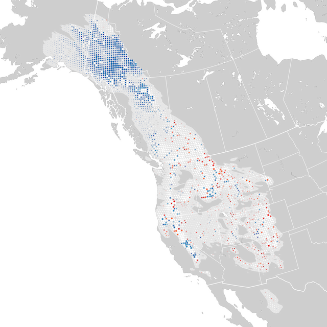 Trends Map