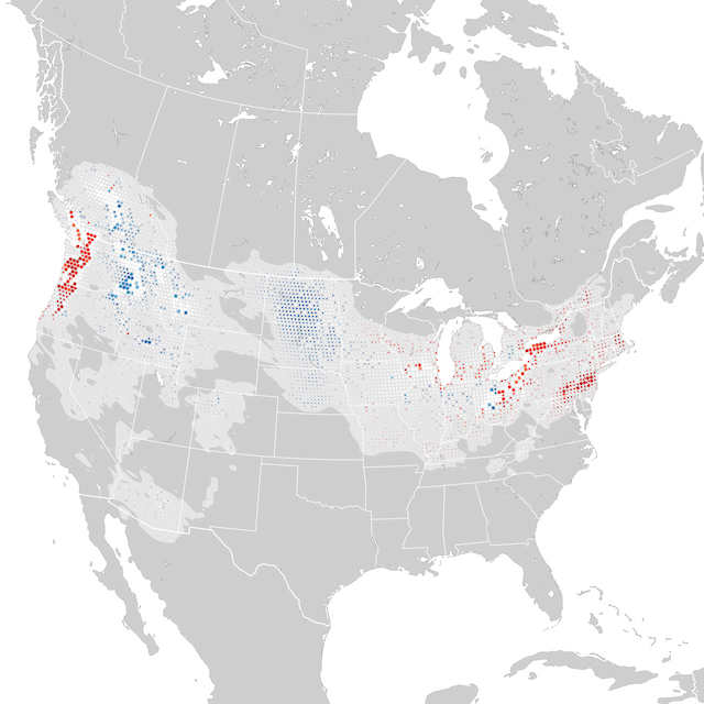 Trends Map