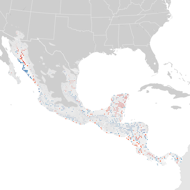 Mapa de tendencias