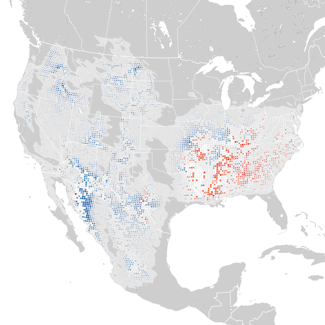 Trends Map