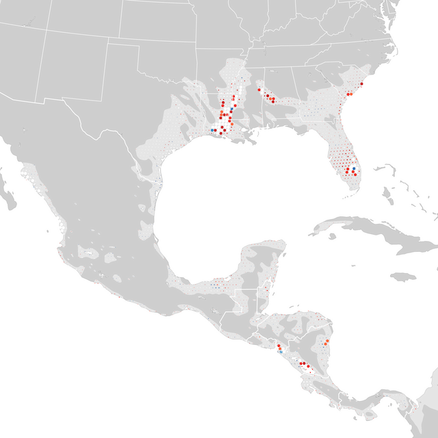 Mapa de tendencias