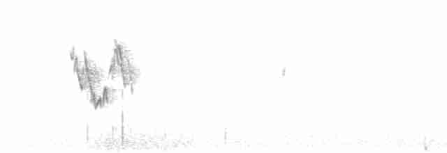 White Wagtail - ML610561095
