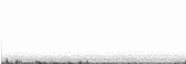 Ibis à face blanche - ML610563688