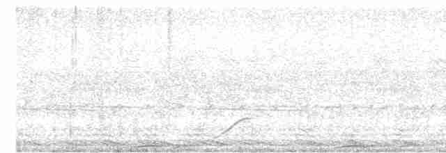 Spot-tailed Nightjar - ML610567506