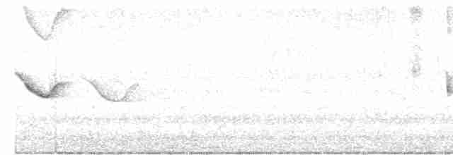 Spot-tailed Nightjar - ML610567560
