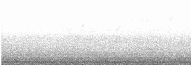 Bar-tailed Godwit - ML610568036